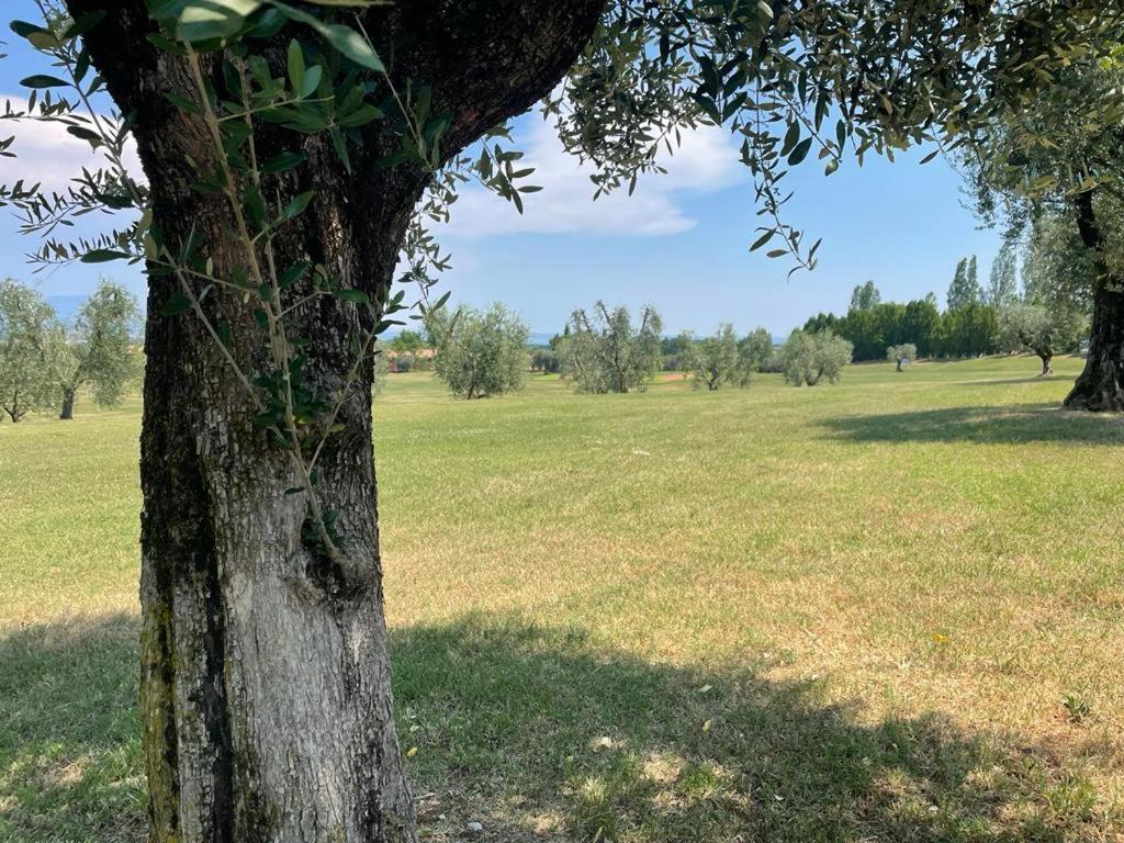 Garda Golf Country Chic Home Soiano Del Lago Esterno foto